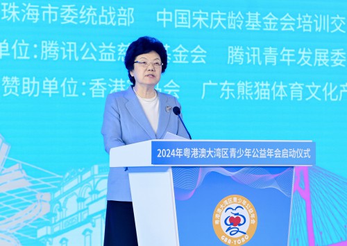 第十三屆全國政協副主席、中國宋慶齡基金會主席李斌致辭