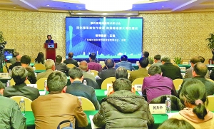 研討會聚焦粵港澳大灣區發展